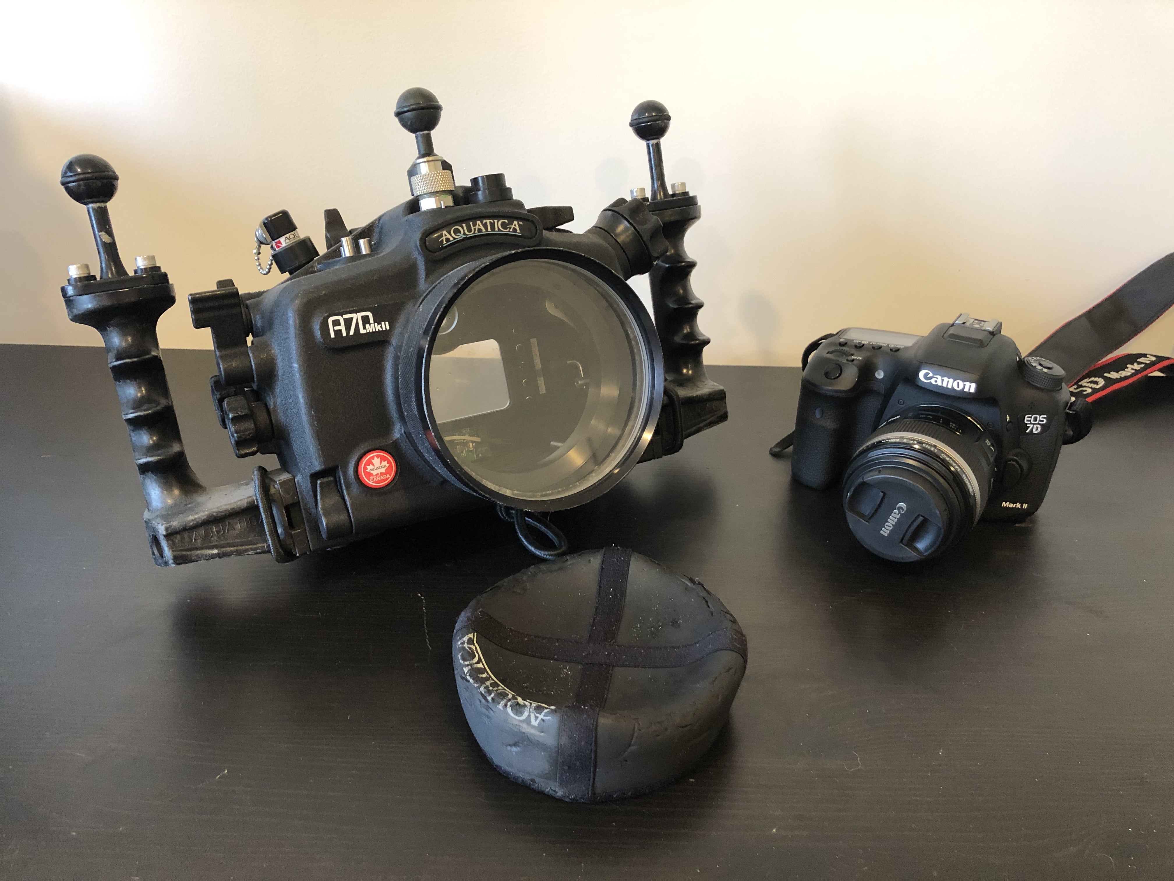 Canon 7Dmkii dSLR Camera Aquatica Underwater Housing – Dive Gear
