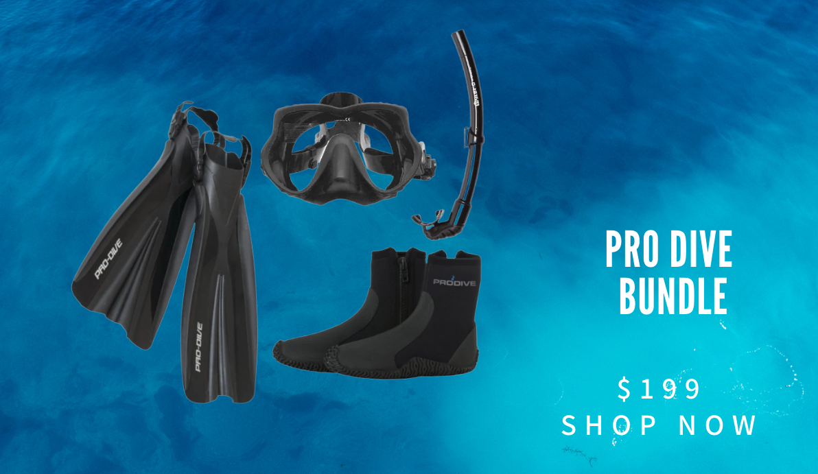Largest Scuba Dive, Freediving, Spearfishing, Online Store in NZ