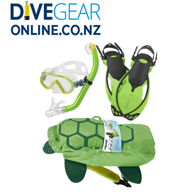 Mask, Snorkel and Fin set with Turtle Travel Bag
