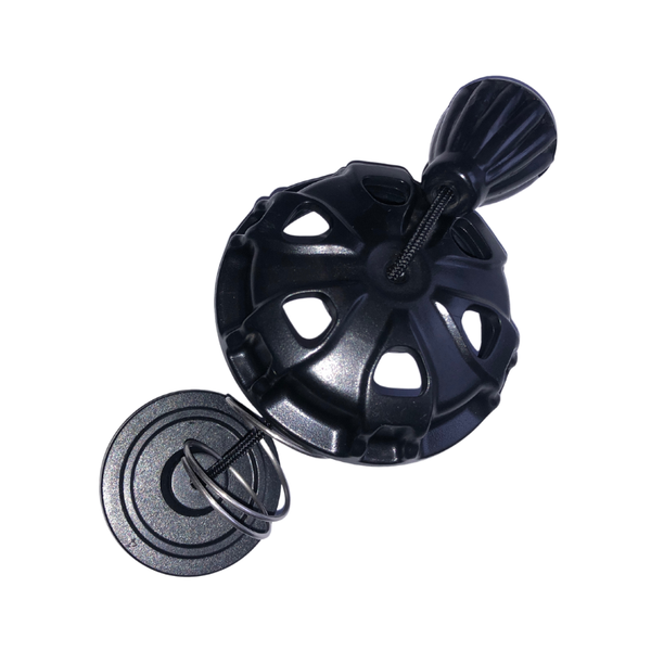 OMS Overpressure relief and dump valve