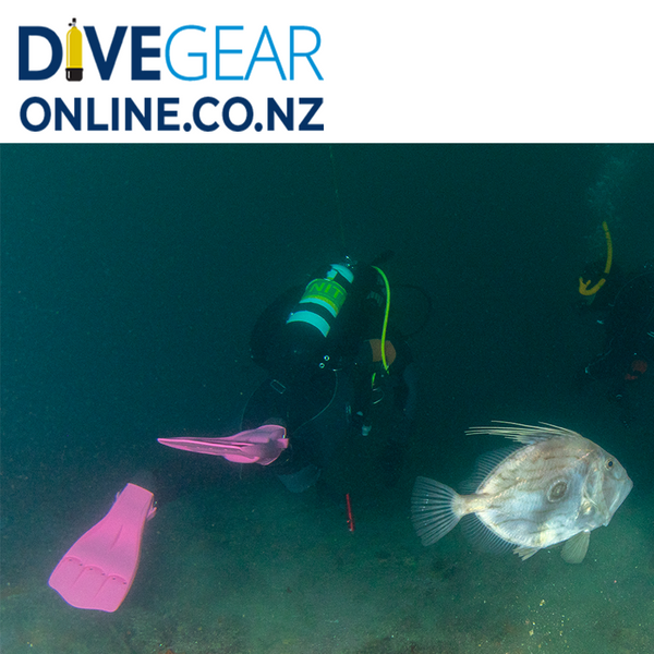 Scubapro snapper deals