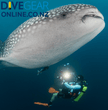 Scubapro Hydros pro BCD on a scuba diver