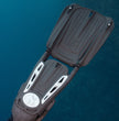 Seawing Supernova