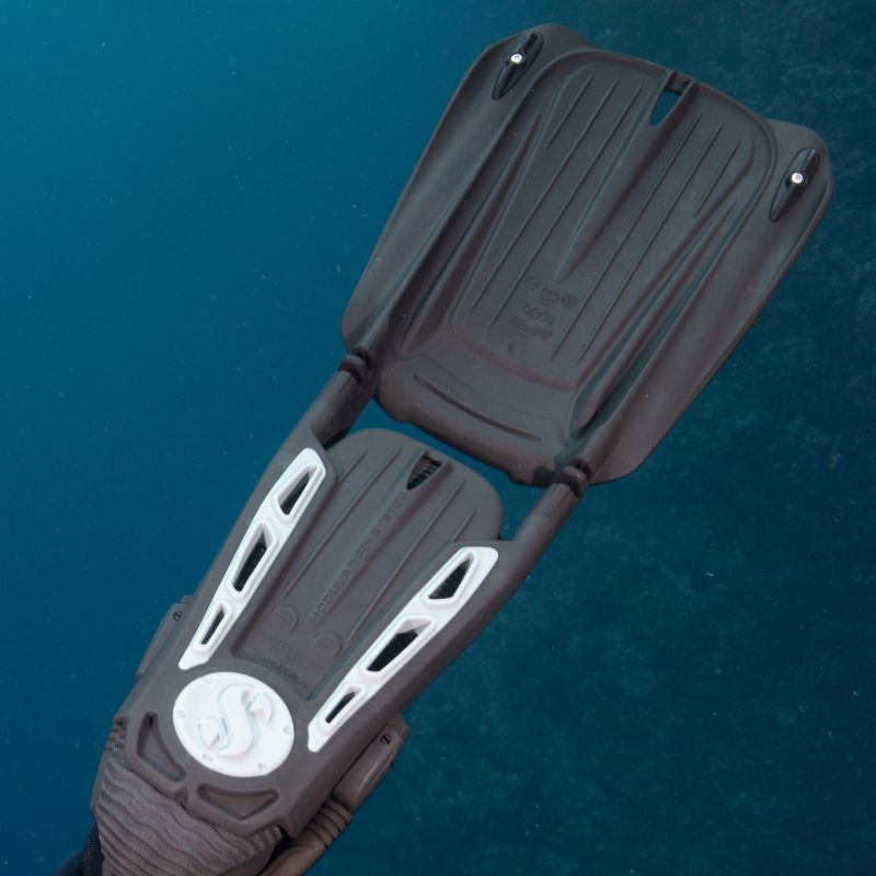 Seawing Supernova