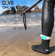 Sharkbanz 2