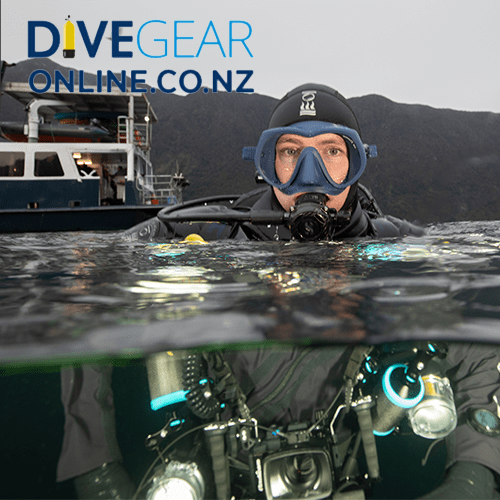 OMS|Tattoo Mask | Wide single lens mask| OMS 2020 Colours – Dive Gear ...