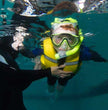 Kids Learn to Snorkel Course