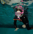 Kids Learn to Snorkel Course
